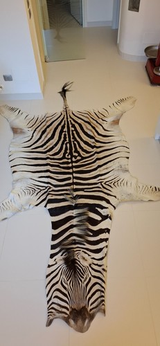 Una pella zebra - pella,