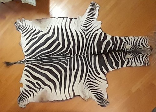 Pelle zebra originale ottime - zebra,
