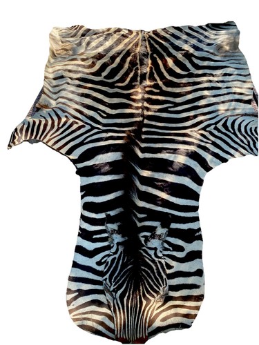 Pelle zebra vera - pelle,