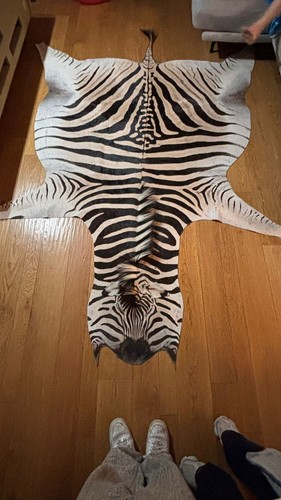 Tappeto zebra originale - tappeto,