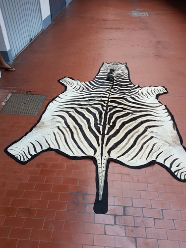 Tappeto zebra originale - tappeto,